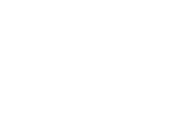 Logo Flow Fest