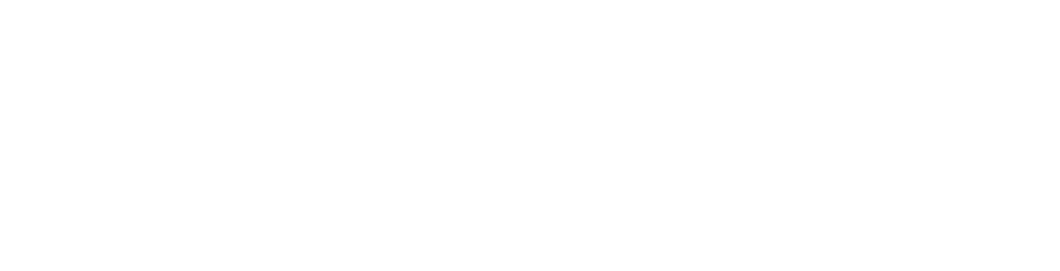 Logo Flow Fest